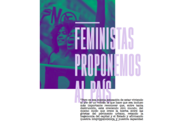 COMUNICADO: Feministas proponemos al país